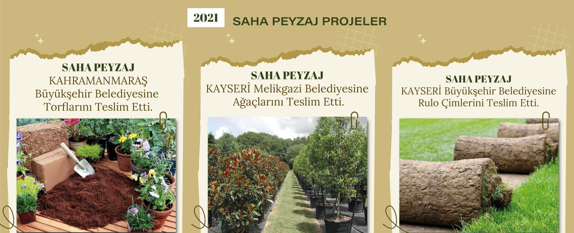 Saha Peyzaj 3